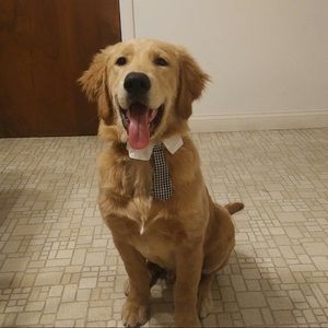 Meet your Posher, Ana